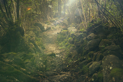 3 Ways To Prepare Physically For A Hunting Trip