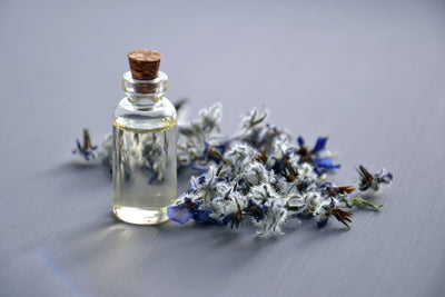 4 Reasons to Try an Herbal Tonic